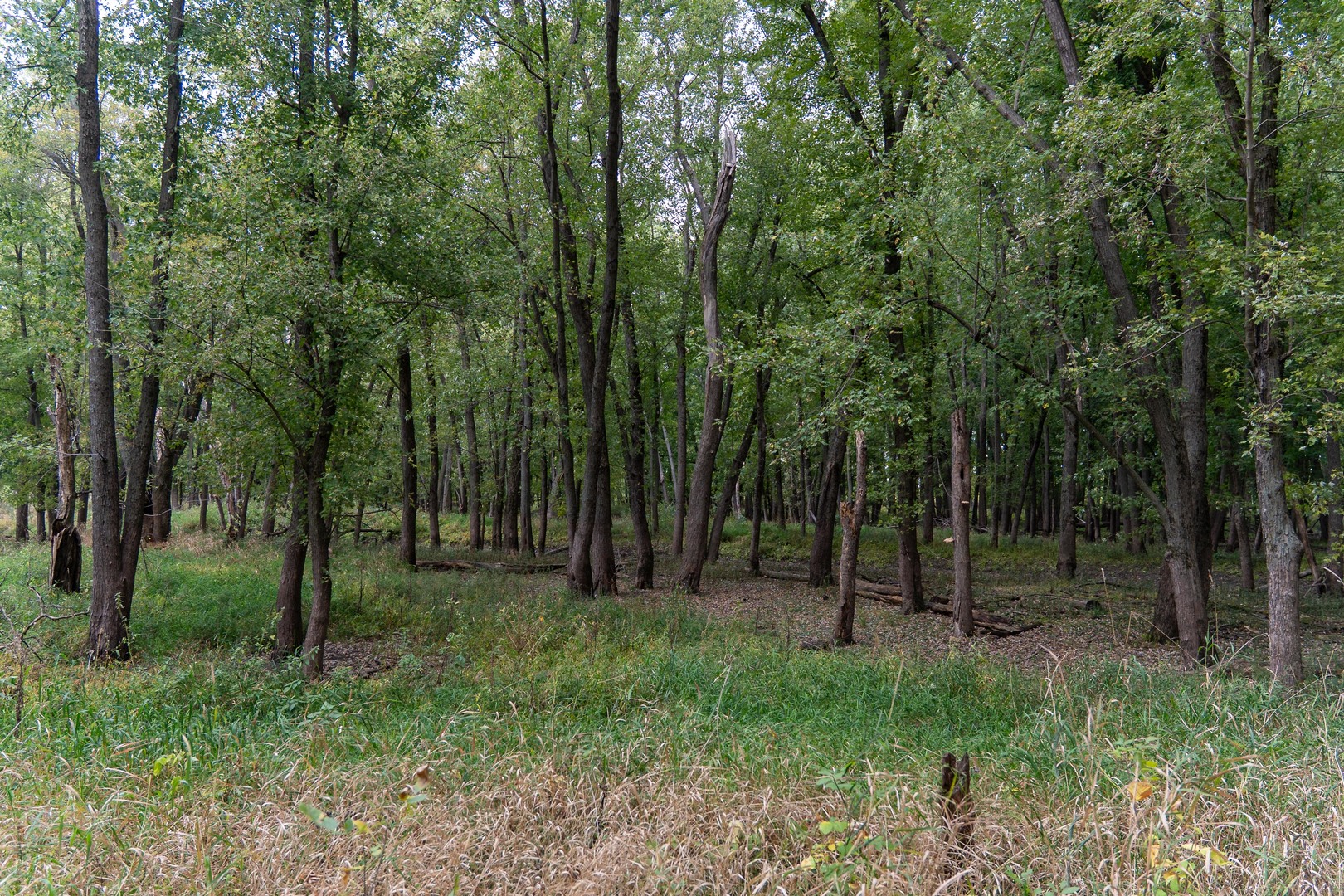 3537-3577 North Iris Hill Road Freeport, IL 61032 - Photo 39 of 60 a view of outdoor space and green space