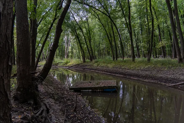 a big yard with lots of green space and deers