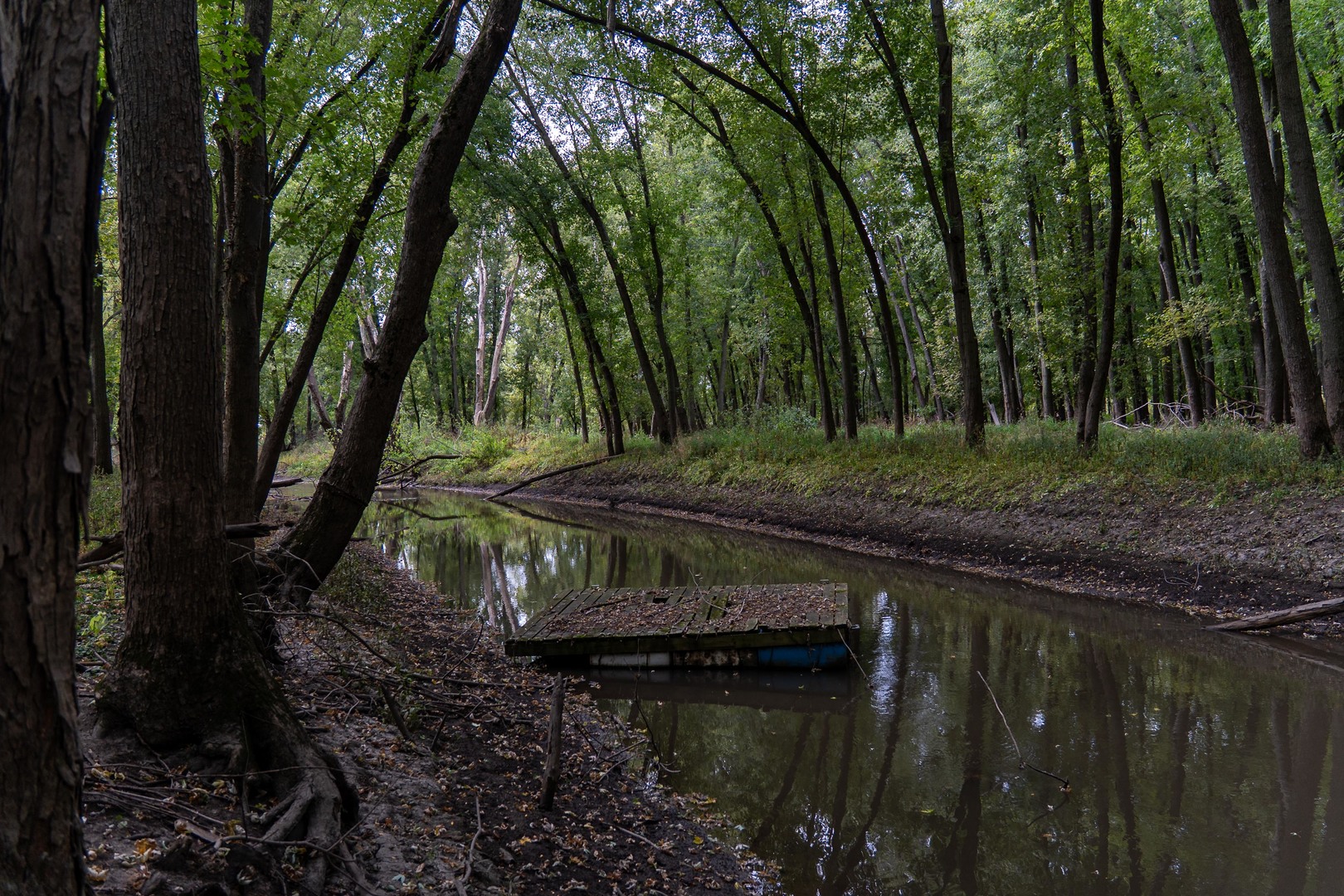 3537-3577 North Iris Hill Road Freeport, IL 61032 - Photo 42 of 60