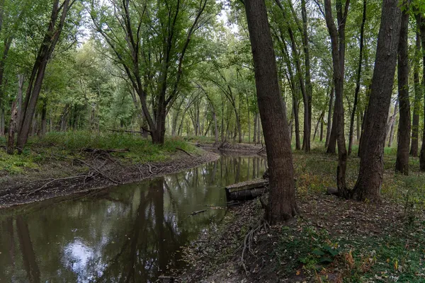 a view of a house with large trees