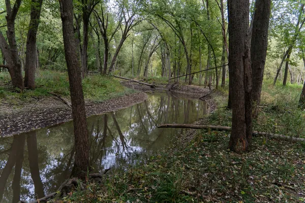 a view of outdoor space and trees all around