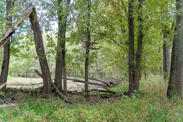 an aerial view of residential houses with outdoor space and swimming pool