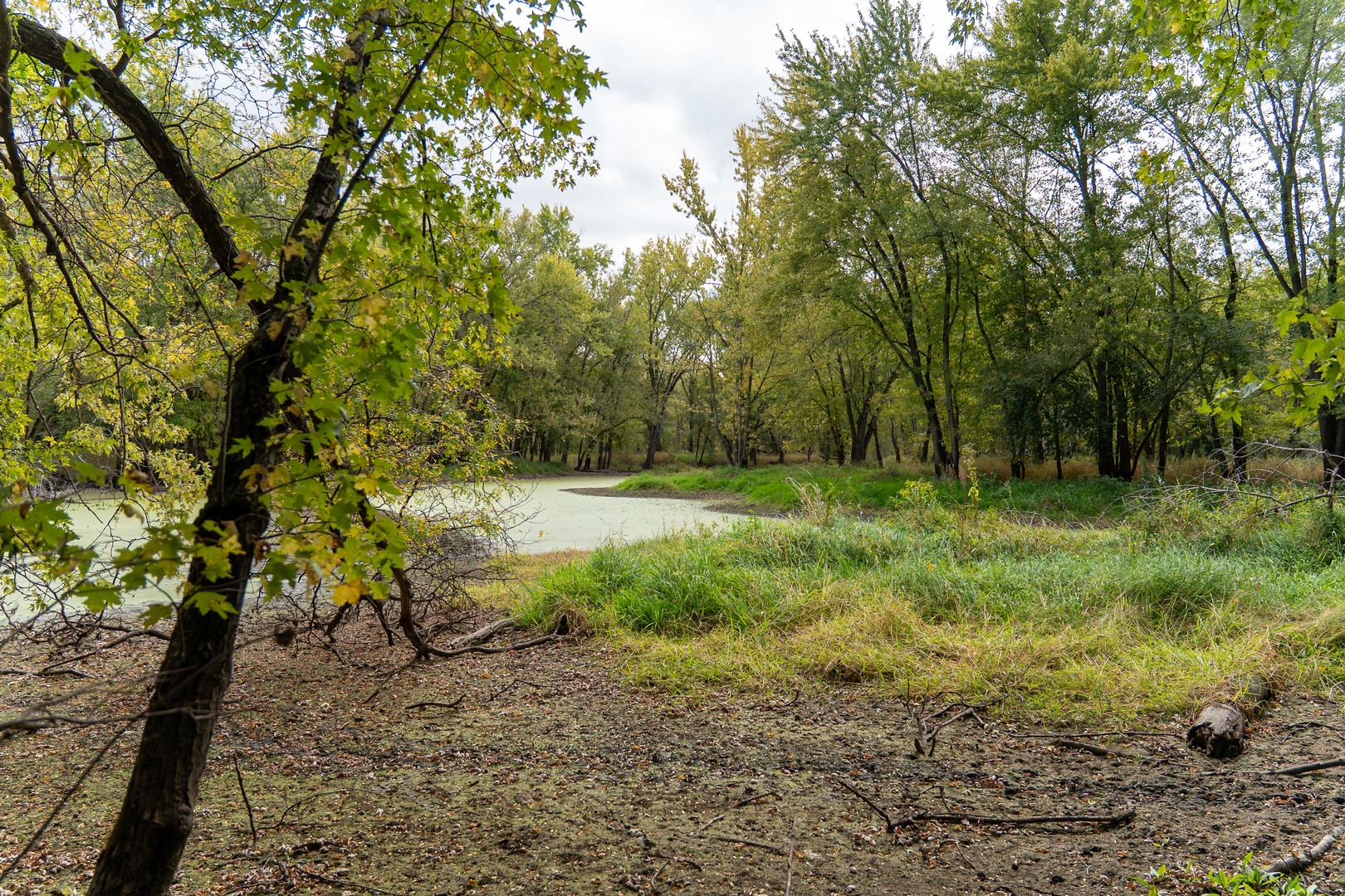 3537-3577 North Iris Hill Road Freeport, IL 61032 - Photo 51 of 60 a view of outdoor space with trees all around
