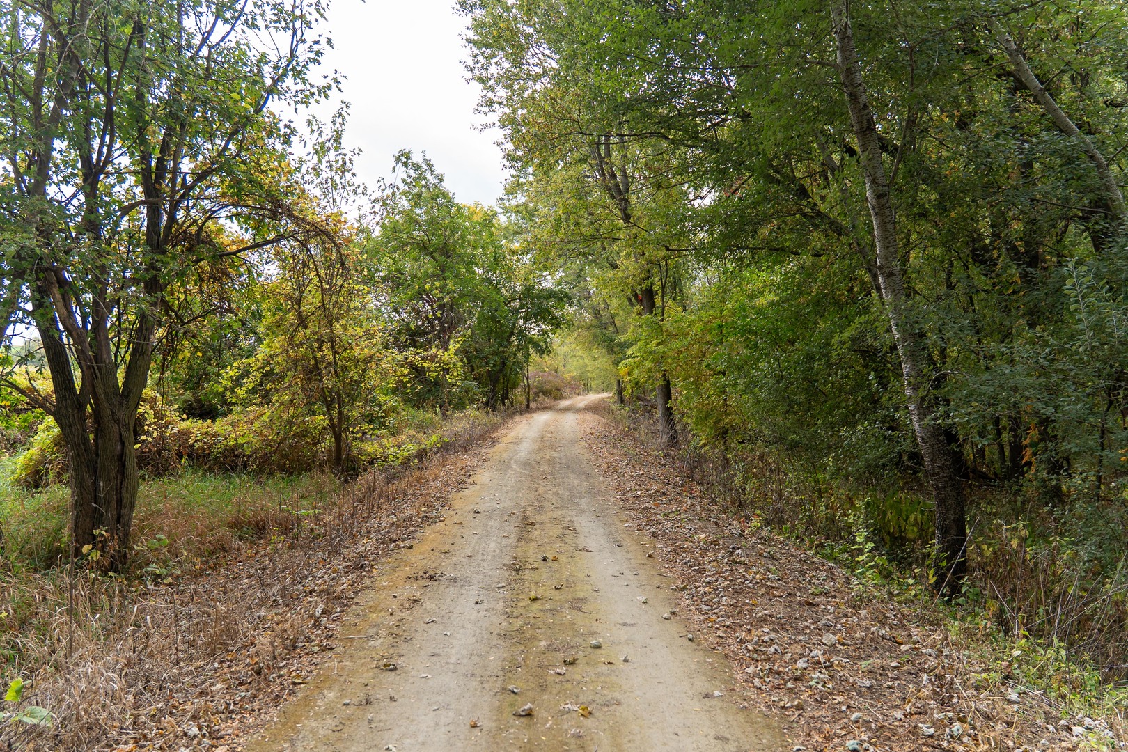 3537-3577 North Iris Hill Road Freeport, IL 61032 - Photo 54 of 60 a view of a forest with trees in the background
