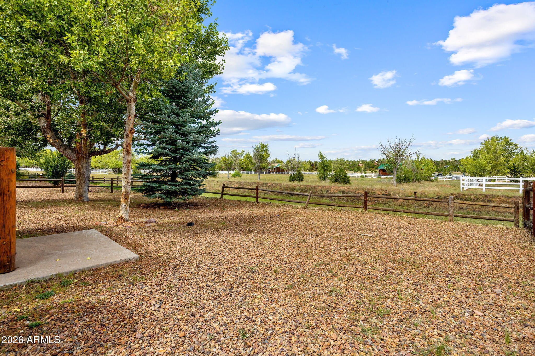 2332 Buffalo Loop Overgaard, AZ 85933 - Photo 20 of 35 Beautiful Back Yard View