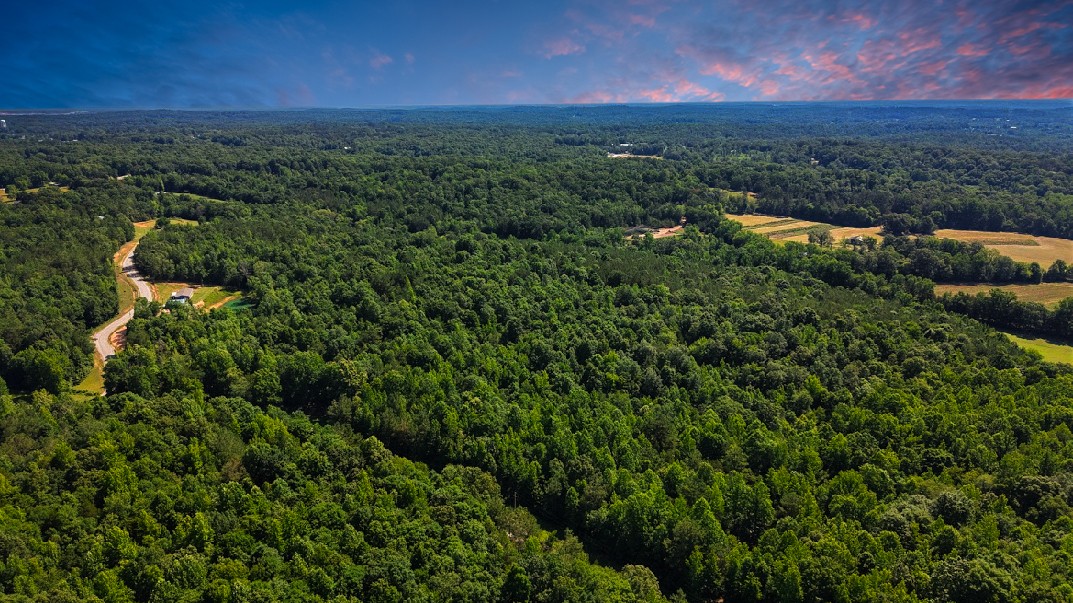 0 Beech Ridge Road Parsons, TN 38363 - Photo 6 of 14