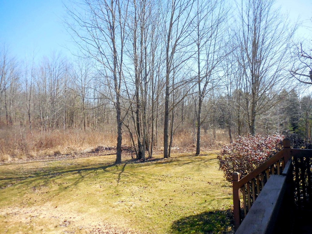 5 Oconnell Road Binghamton, NY 13903 - Photo 44 of 48 Gallery Image 44