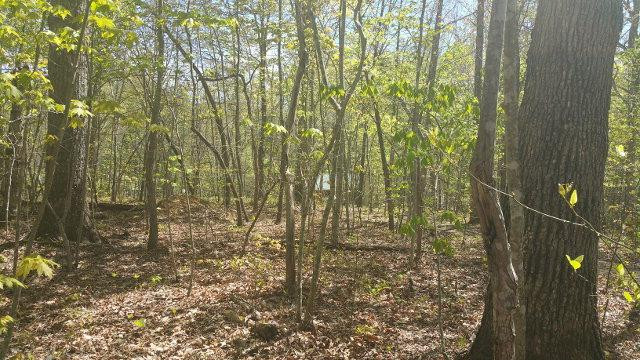 260 Radford Hollow Road Berea, KY 40403 - Photo 26 of 26 Photo 26
