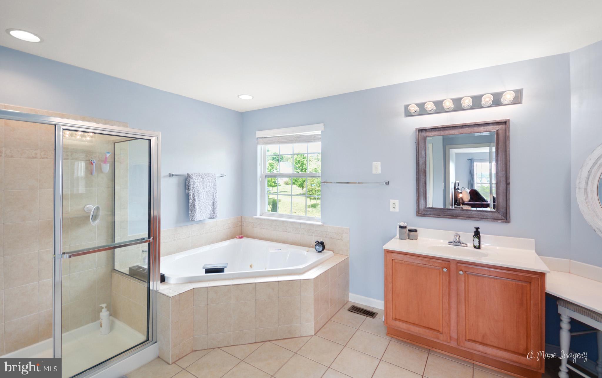 3904 Calico Circle Point of Rocks, MD 21777 - Photo 32 of 52 a bathroom with a bathtub sink and mirror