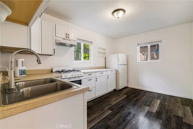 a view of a yard with plants and a large tree