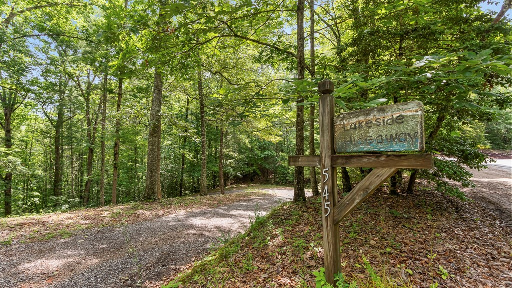 545 Bear Paw Church Road Murphy, NC 28906 - Photo 3 of 99 Gallery Image 3