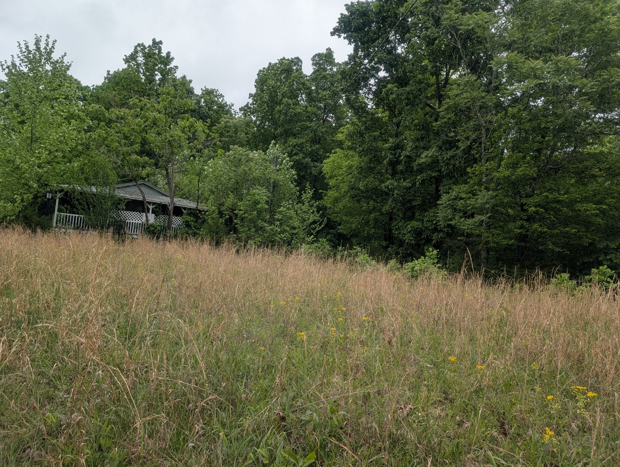 1475 Holland Road Lafayette, TN 37083 - Photo 2 of 3