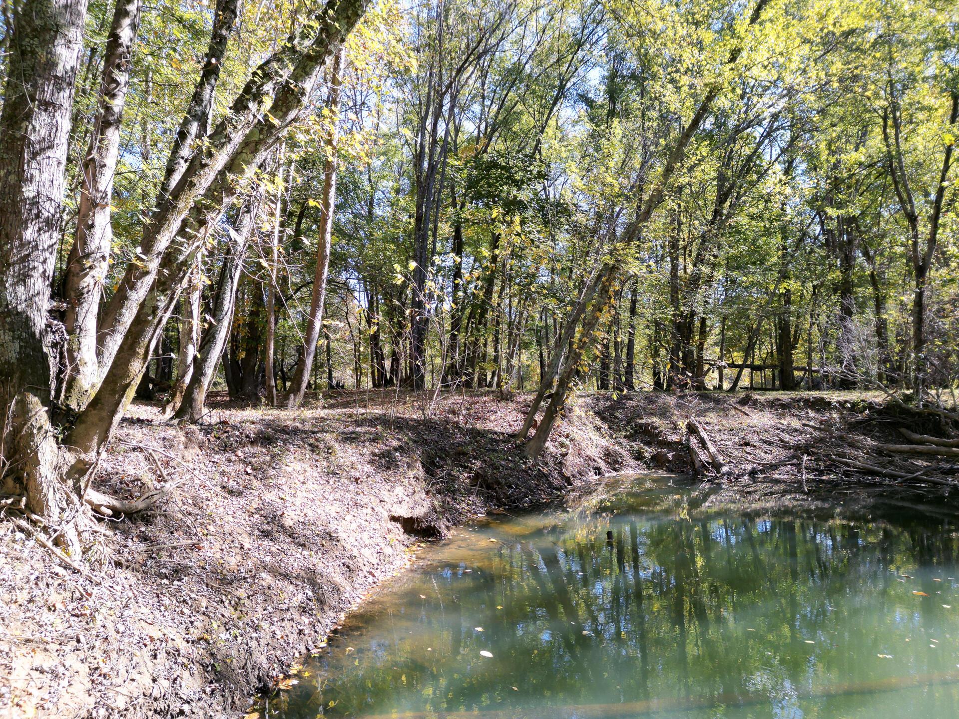 1462 Keystone Road, Unit RACCOON CREEK ADVENTURES) Vinton, OH 45686 - Photo 4 of 69