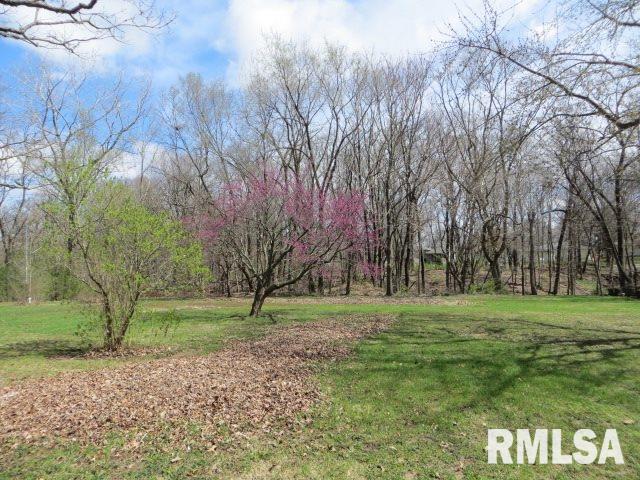 1519 Springfield Road East Peoria, IL 61611 - Photo 33 of 35 Gallery Image 33