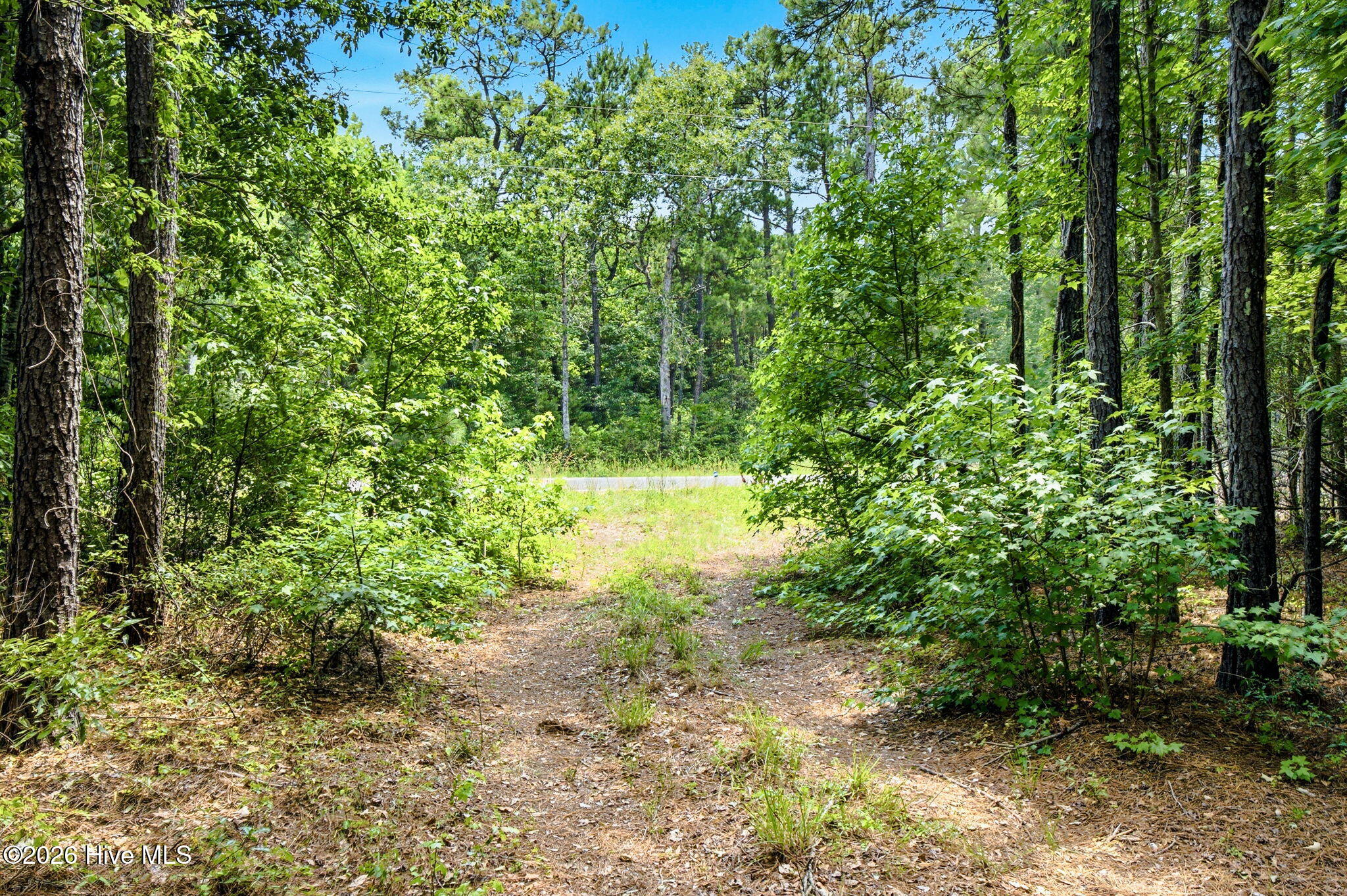 422 Benton Road Southeast Bolivia, NC 28422 - Photo 4 of 23