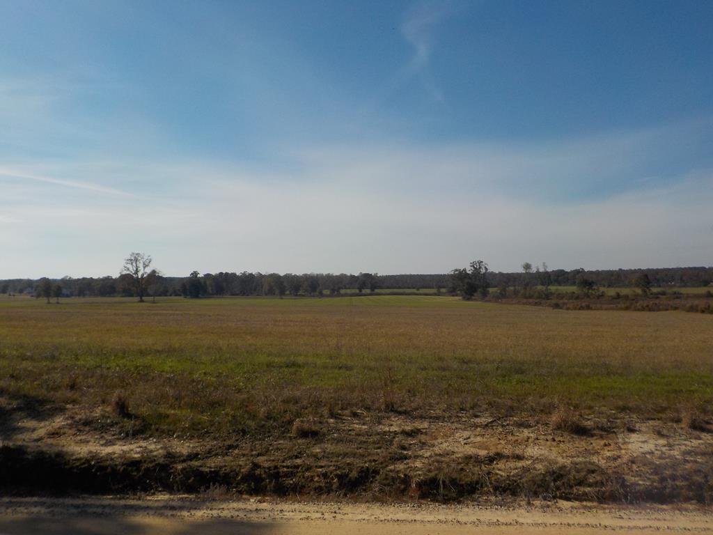 Lot 12 -ac Reardon Road Dothan, AL 36301 - Photo 1 of 1
