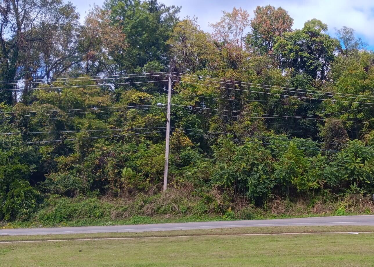0 Brandon Avenue Southwest Roanoke, VA 24015 - Photo 2 of 5 IMG_20251013_162257