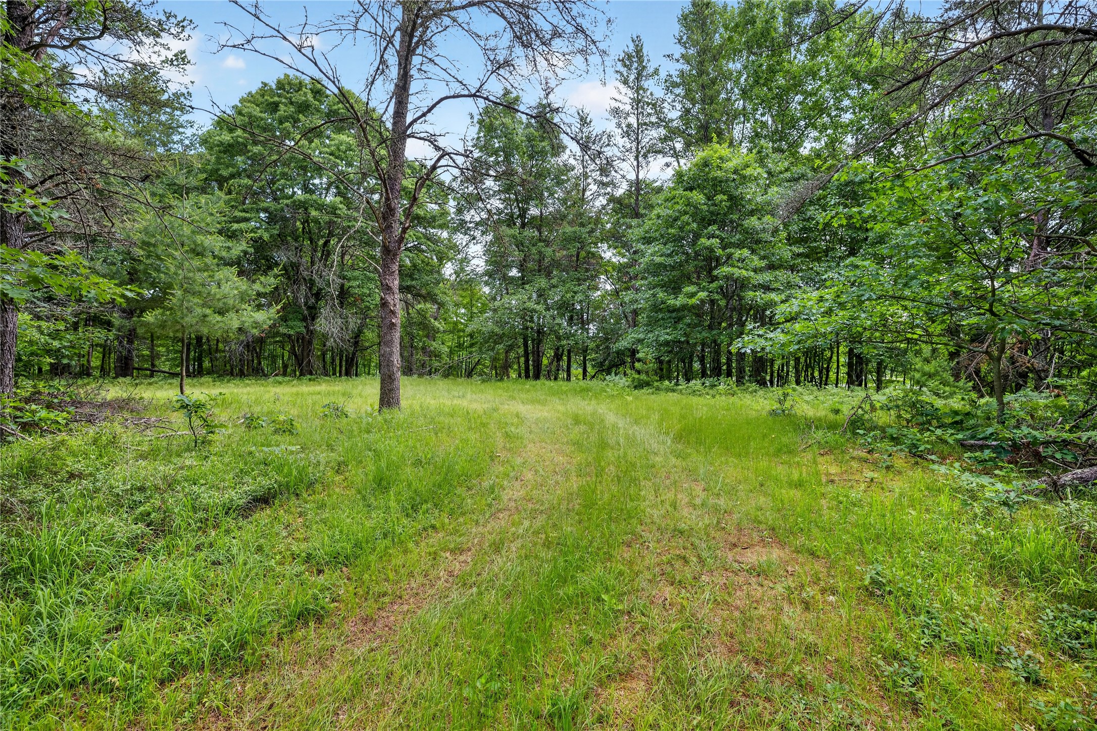 0 Loon Lake Road Spooner, WI 54801 - Photo 9 of 18