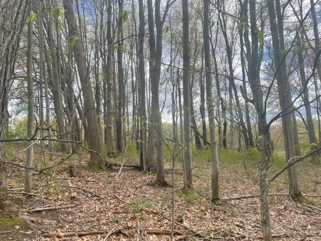24 24 Mile Road Battle Creek, MI 49014 - Photo 7 of 9