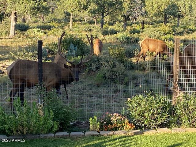 8071 Vista Del Norte Payson, AZ 85541 - Photo 26 of 27 a garden view