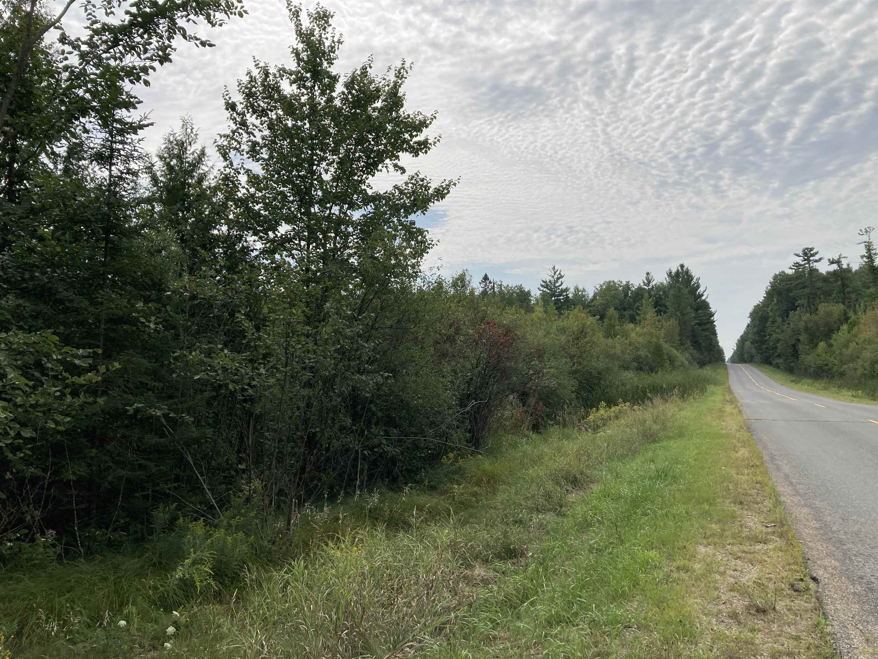 V/l Wiltse Road Lupton, MI 48635 - Photo 2 of 32 1949998-1357db46-c078-45b4-9865-21befa3fc4a8.JPG