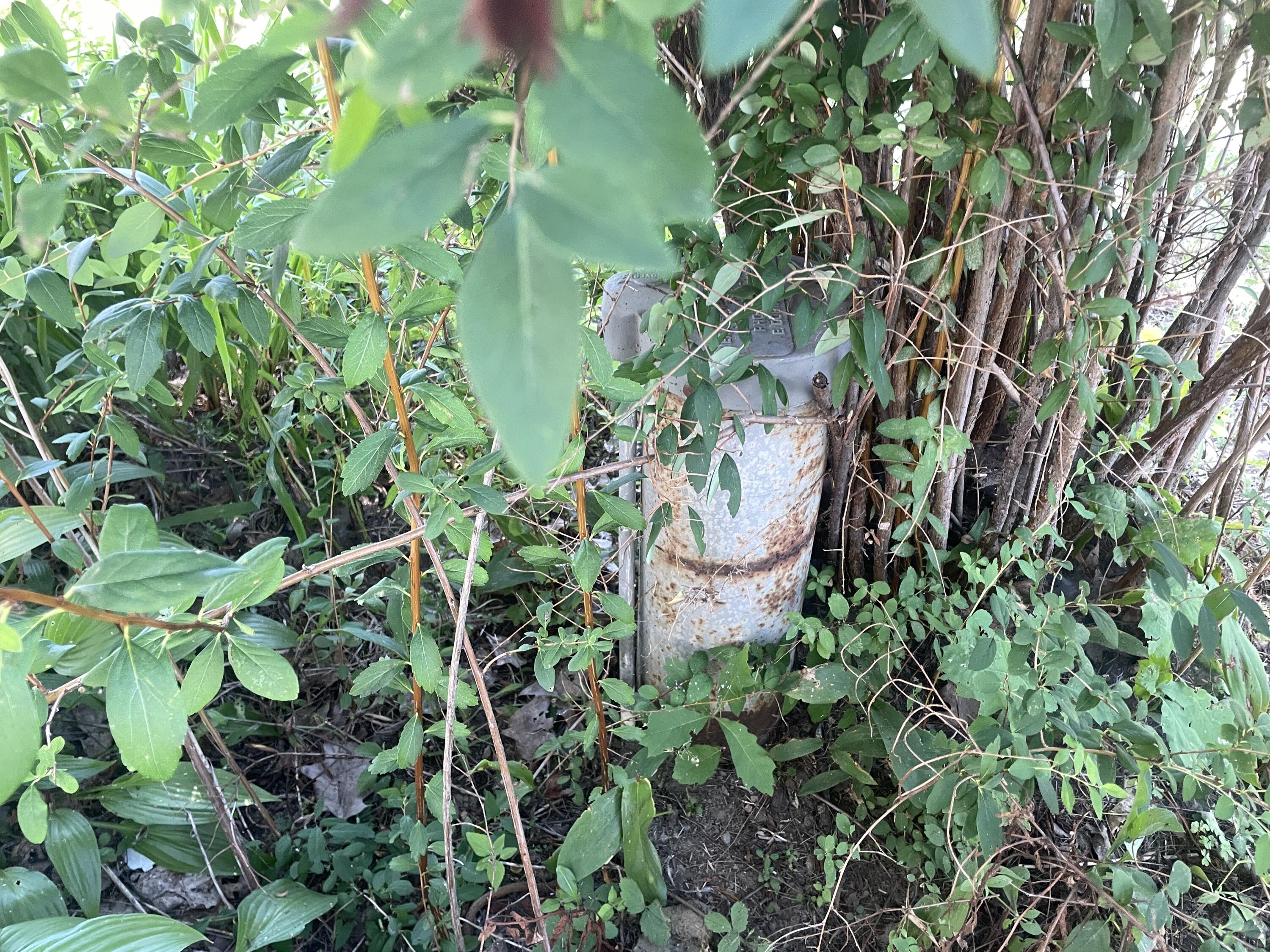 14 High Street Harmony, ME 04942 - Photo 26 of 57 IMG_3968