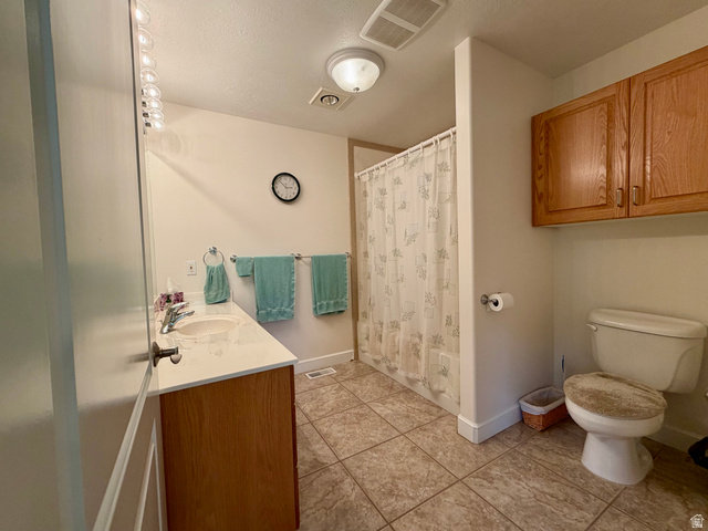 1133 Paris Canyon Road Paris, ID 83261 - Photo 25 of 75 Premier bathroom featuring a full vanity with a single sink, an integrated mirror with vanity lighting, and a shower with a privacy curtain