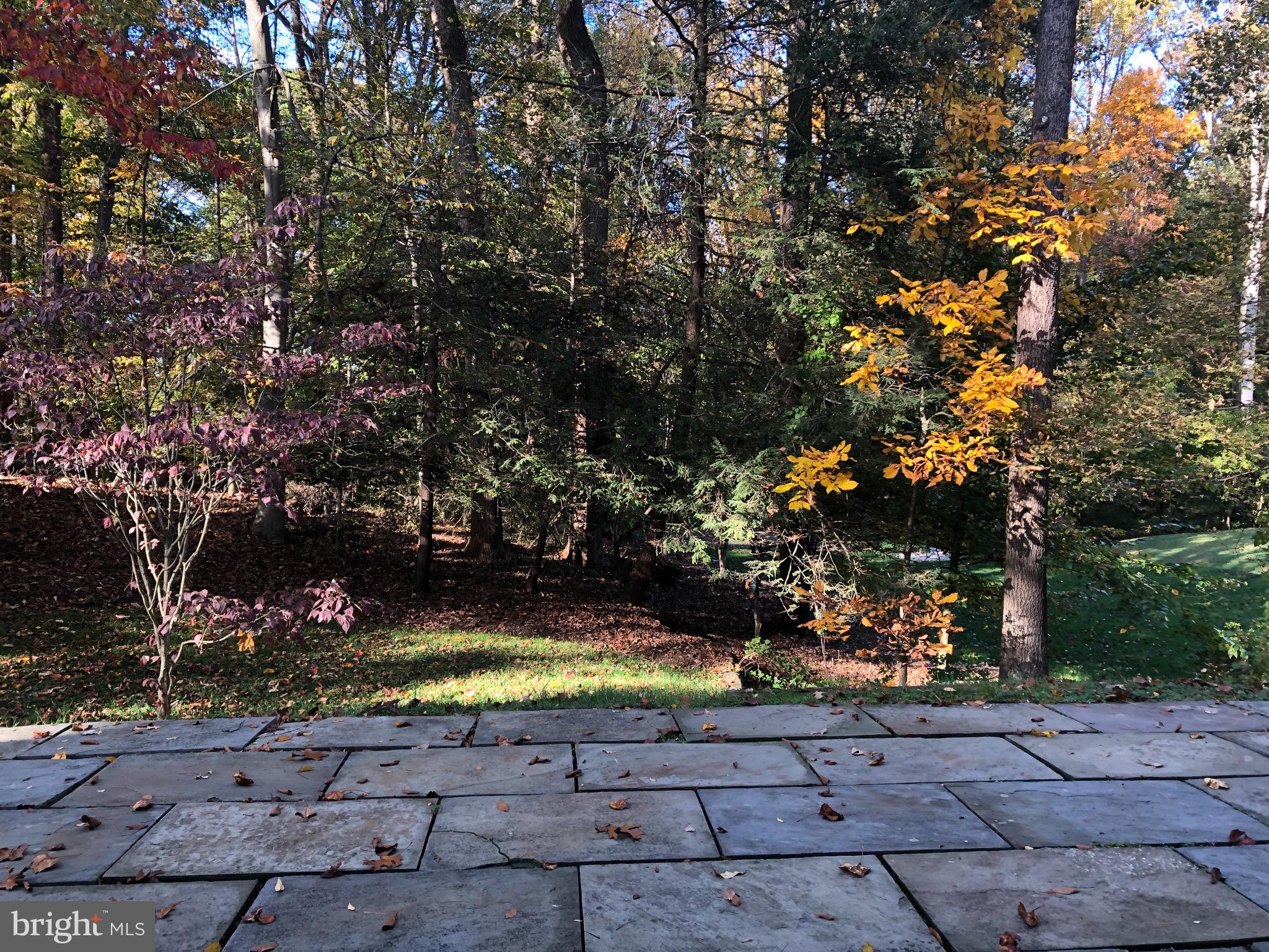 8011 Greentree Road Bethesda, MD 20817 - Photo 53 of 55 Rear Patio Backing to Parkland