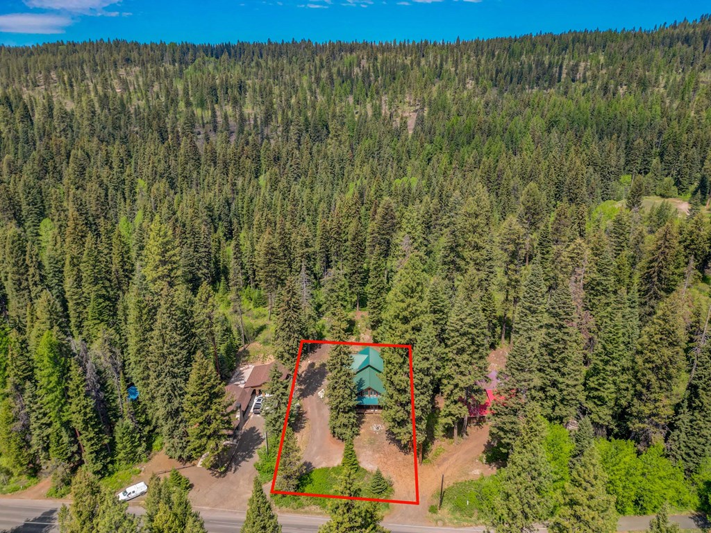 2085 Warren Wagon Road McCall, ID 83638 - Photo 4 of 69