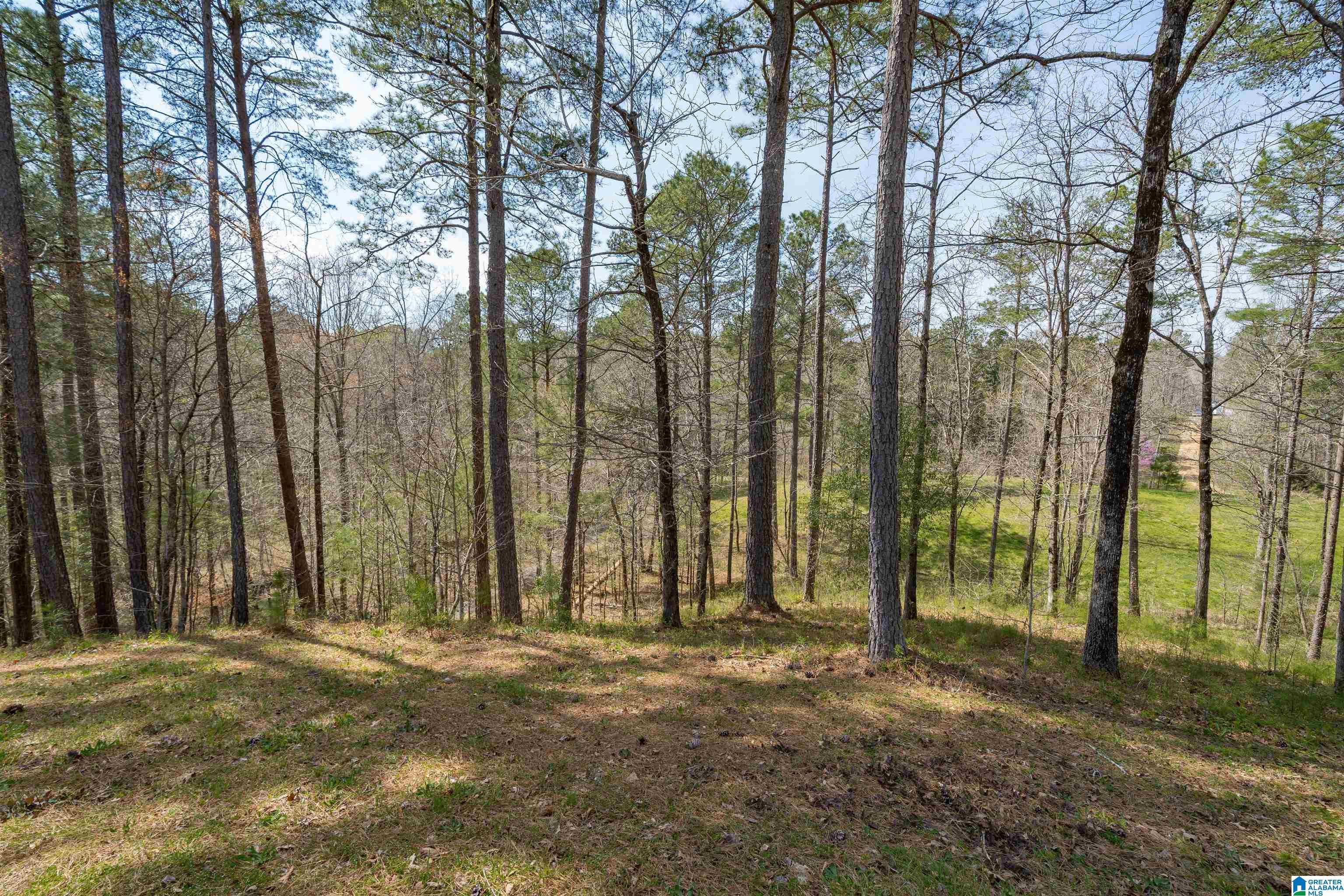 184 Sequoyah Road Pell City, AL 35128 - Photo 23 of 46