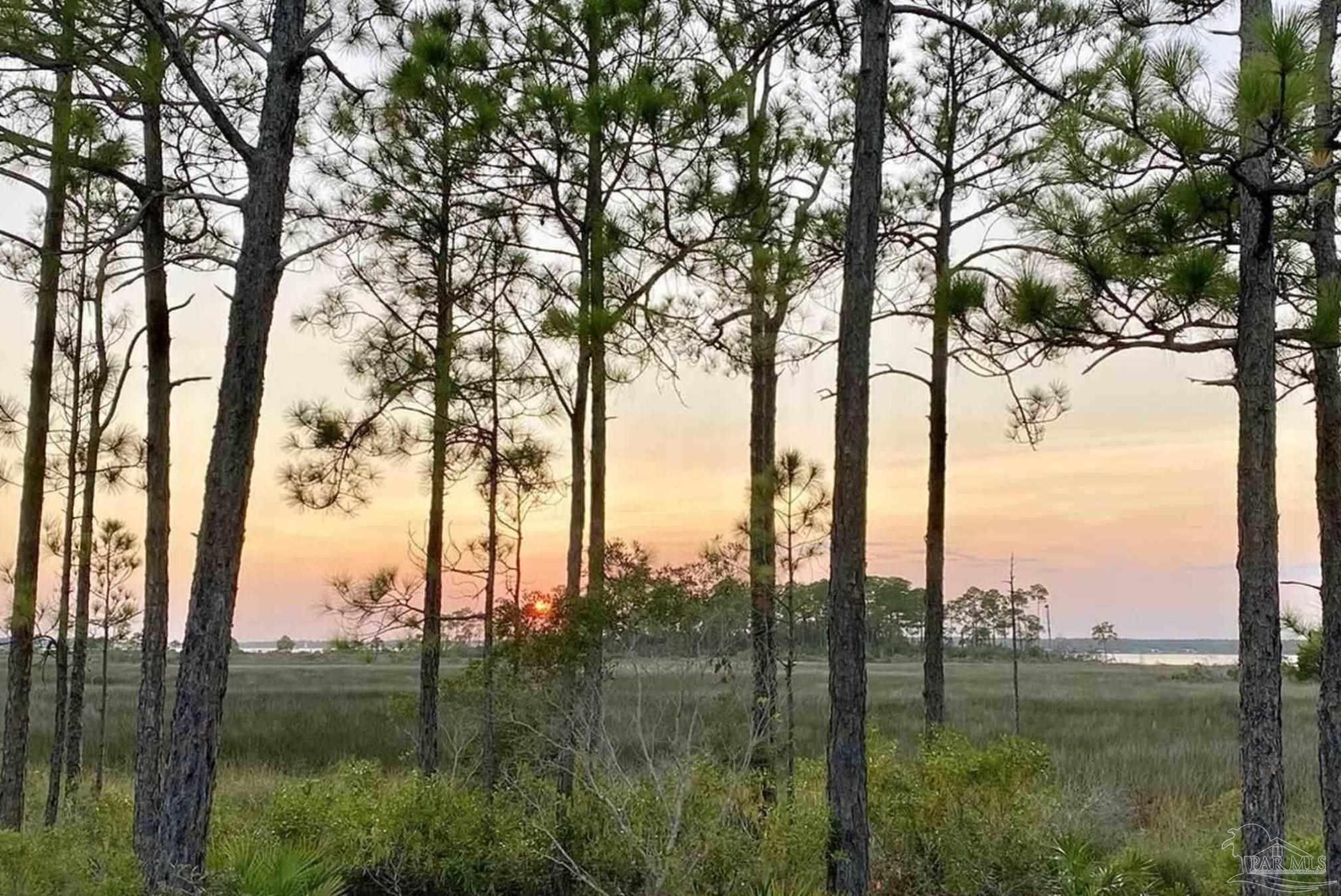 5404 North Shore Road Pensacola, FL 32507 - Photo 5 of 8 Gallery Image 5