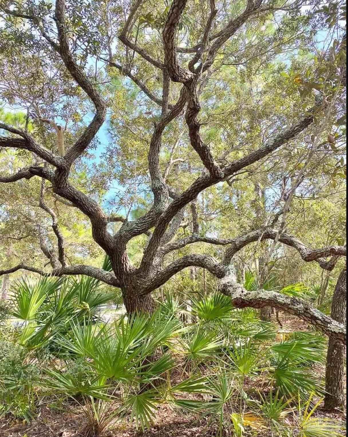 5404 North Shore Road Pensacola, FL 32507 - Photo 6 of 8 Gallery Image 6