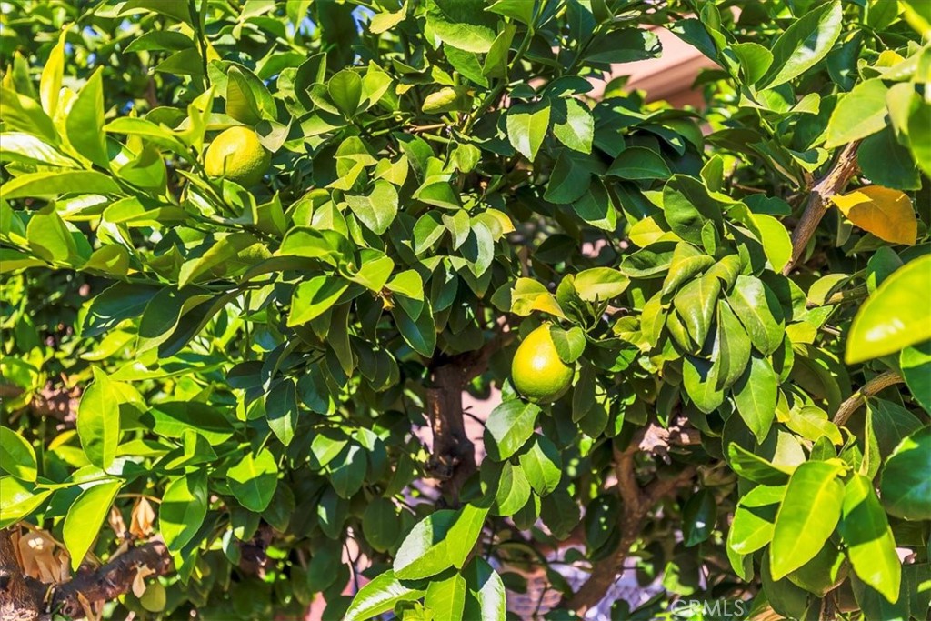 27701 Murrieta Road Menifee, CA 92586 - Photo 23 of 40