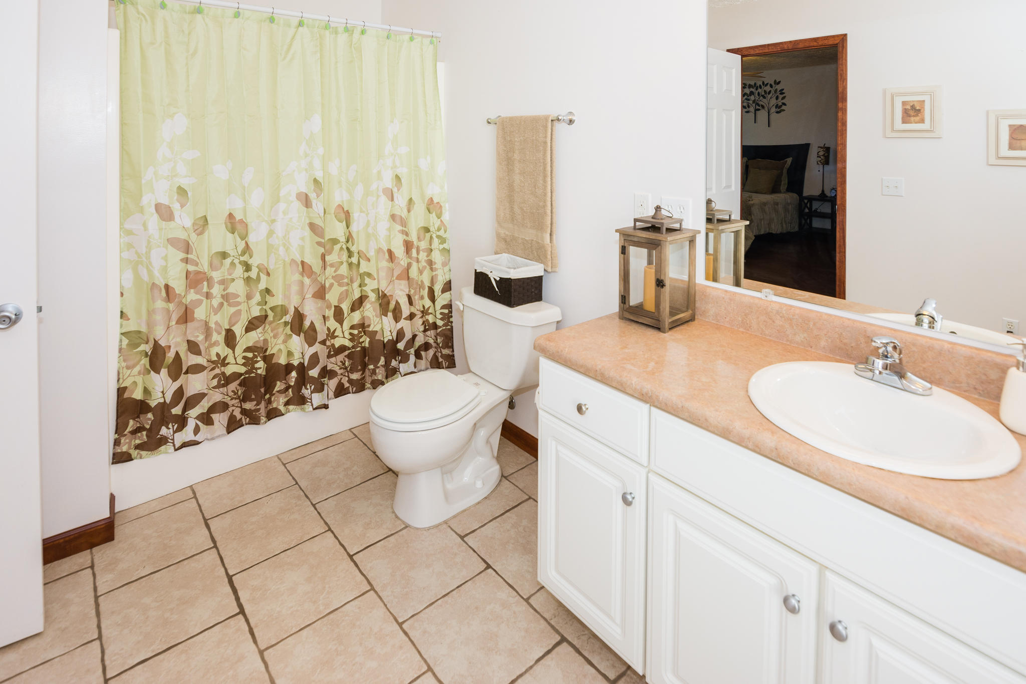 293 Beaver Creek Road Dunlap, TN 37327 - Photo 20 of 42 Master Bath