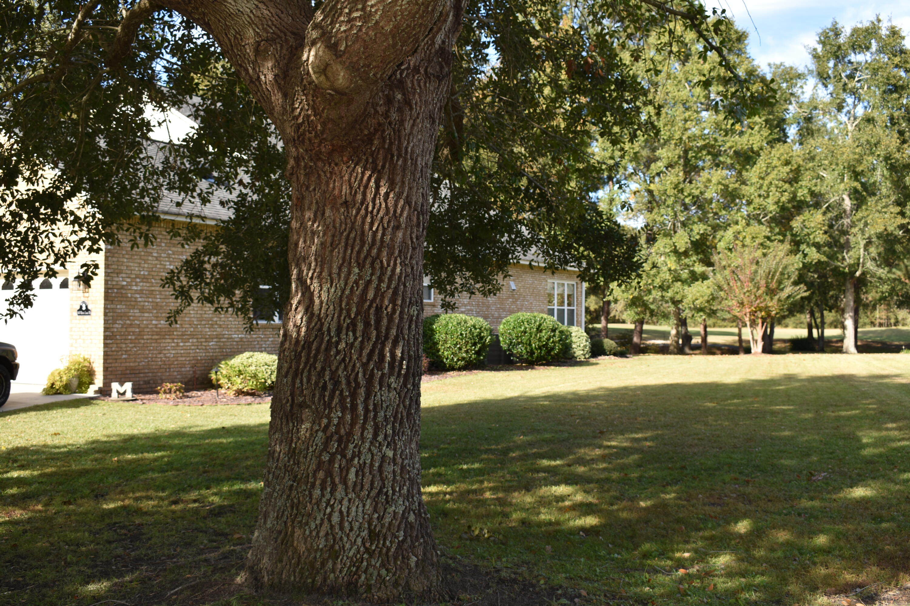 140 Ridge Lake Drive Manning, SC 29102 - Photo 3 of 53 9AF191B9-16D8-4A41-8E2F-59F67283EAC2