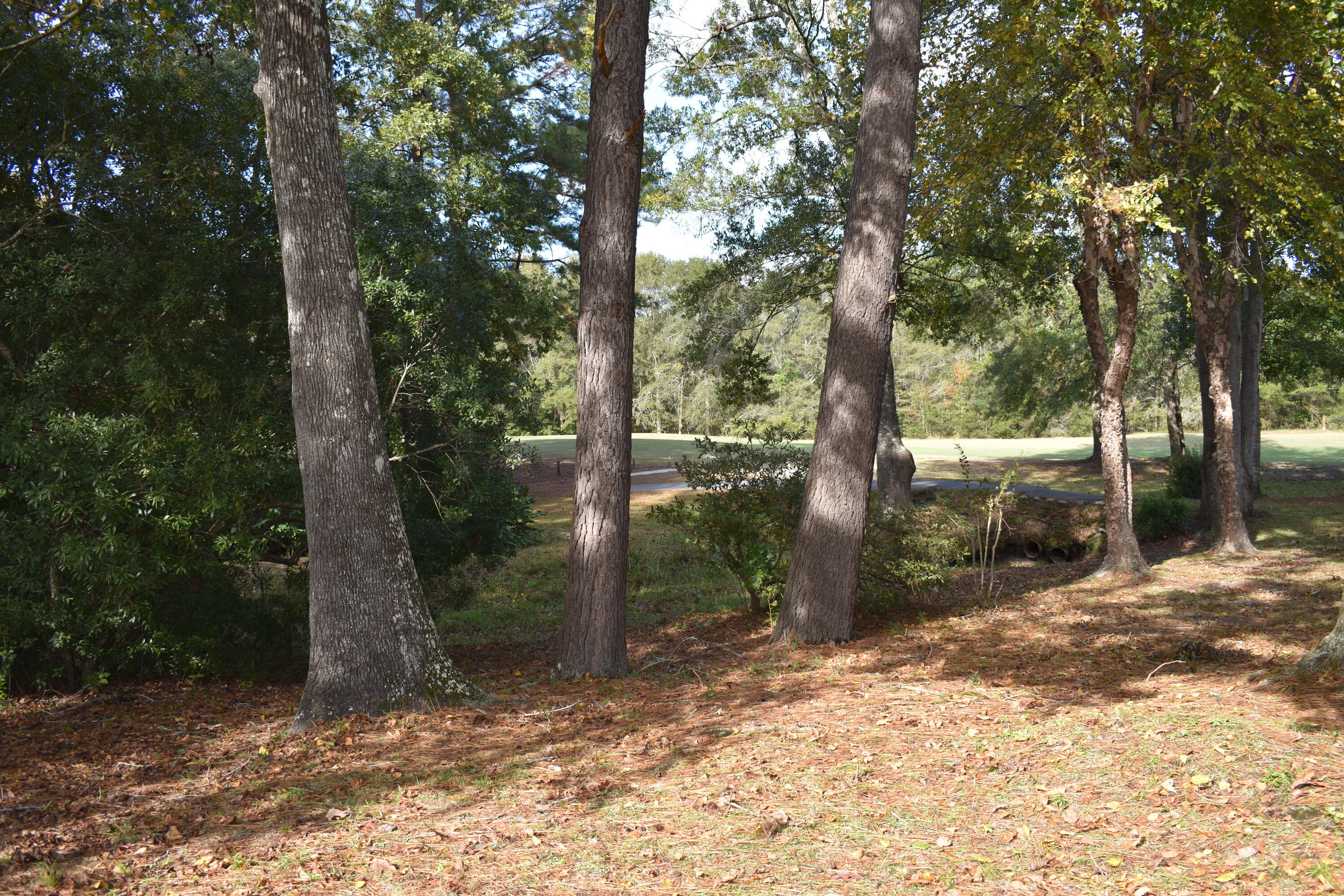 140 Ridge Lake Drive Manning, SC 29102 - Photo 5 of 53 47209B3C-060F-440C-8BB2-EA86BDFF5479