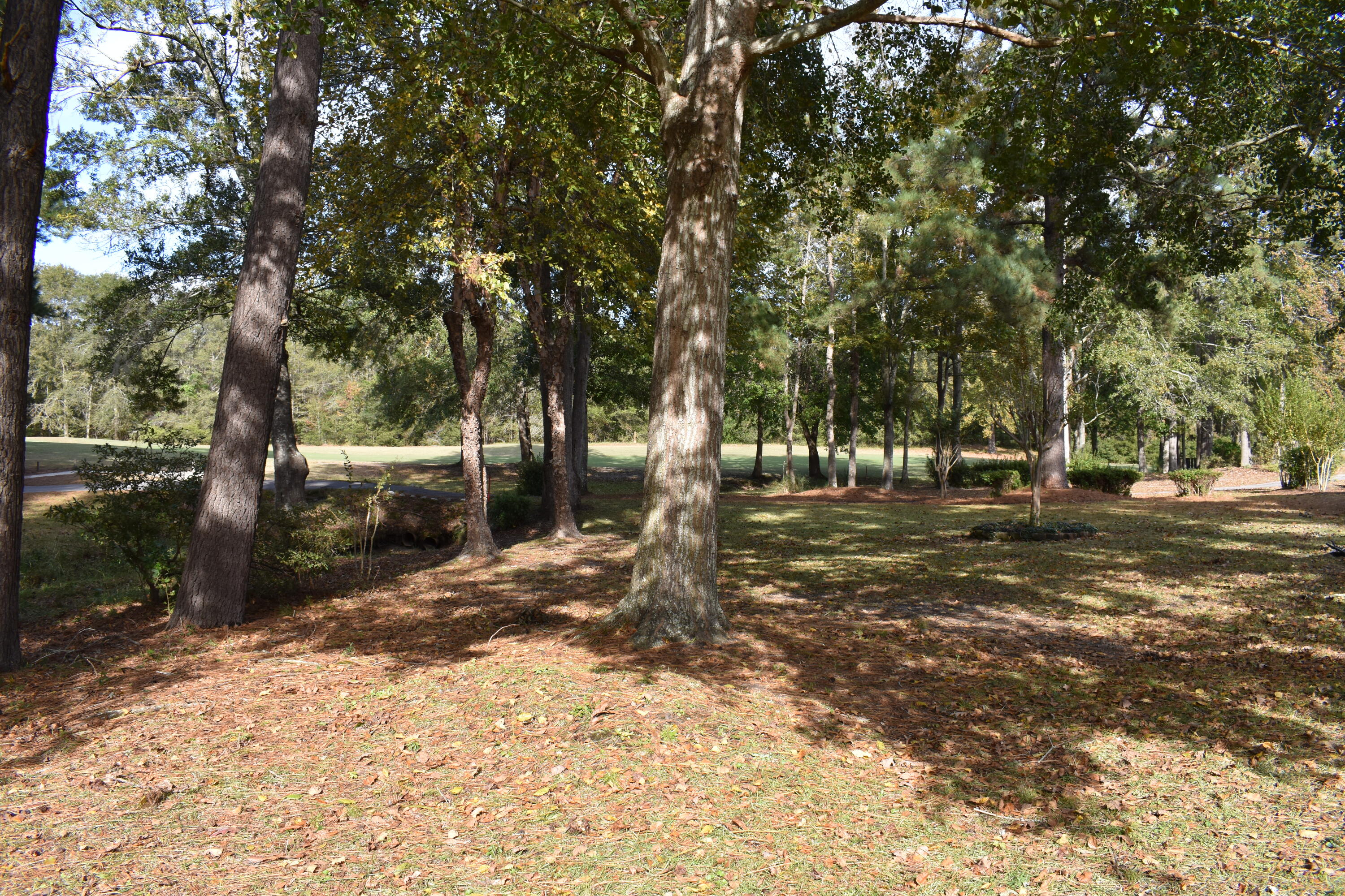 140 Ridge Lake Drive Manning, SC 29102 - Photo 7 of 53 0F76F2E6-FADD-464D-A317-C6994E528616