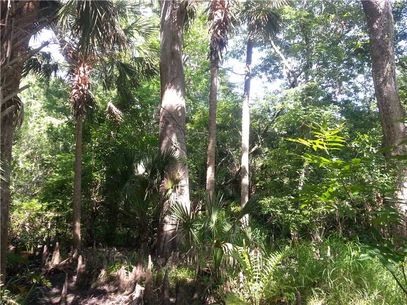 9096 Fleming Grant Road Micco, FL 32976 - Photo 7 of 9 Gallery Image 7