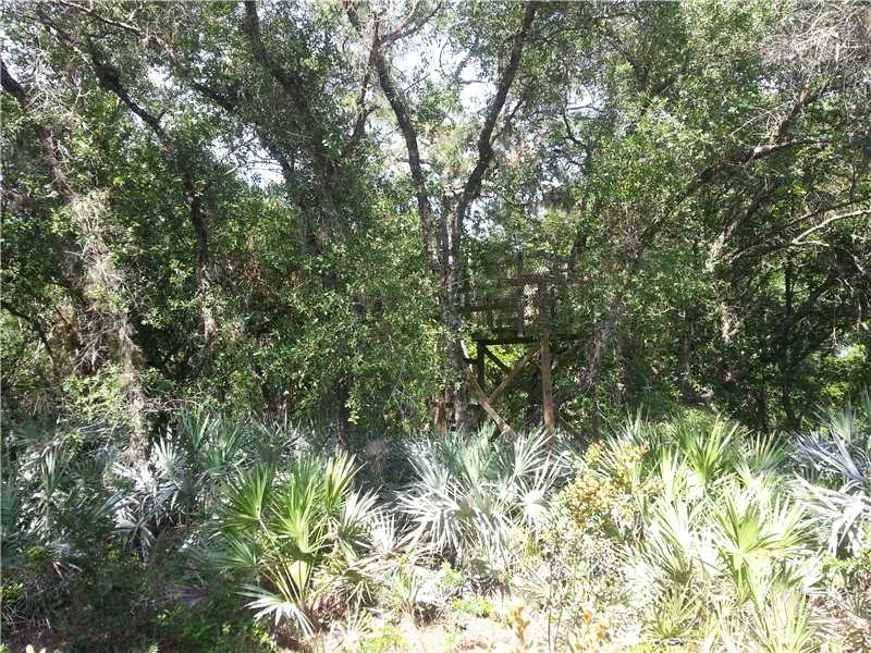 9096 Fleming Grant Road Micco, FL 32976 - Photo 8 of 9 Gallery Image 8