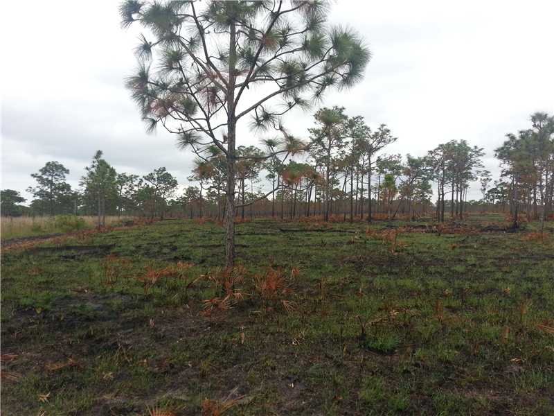9096 Fleming Grant Road Micco, FL 32976 - Photo 9 of 9 Gallery Image 9