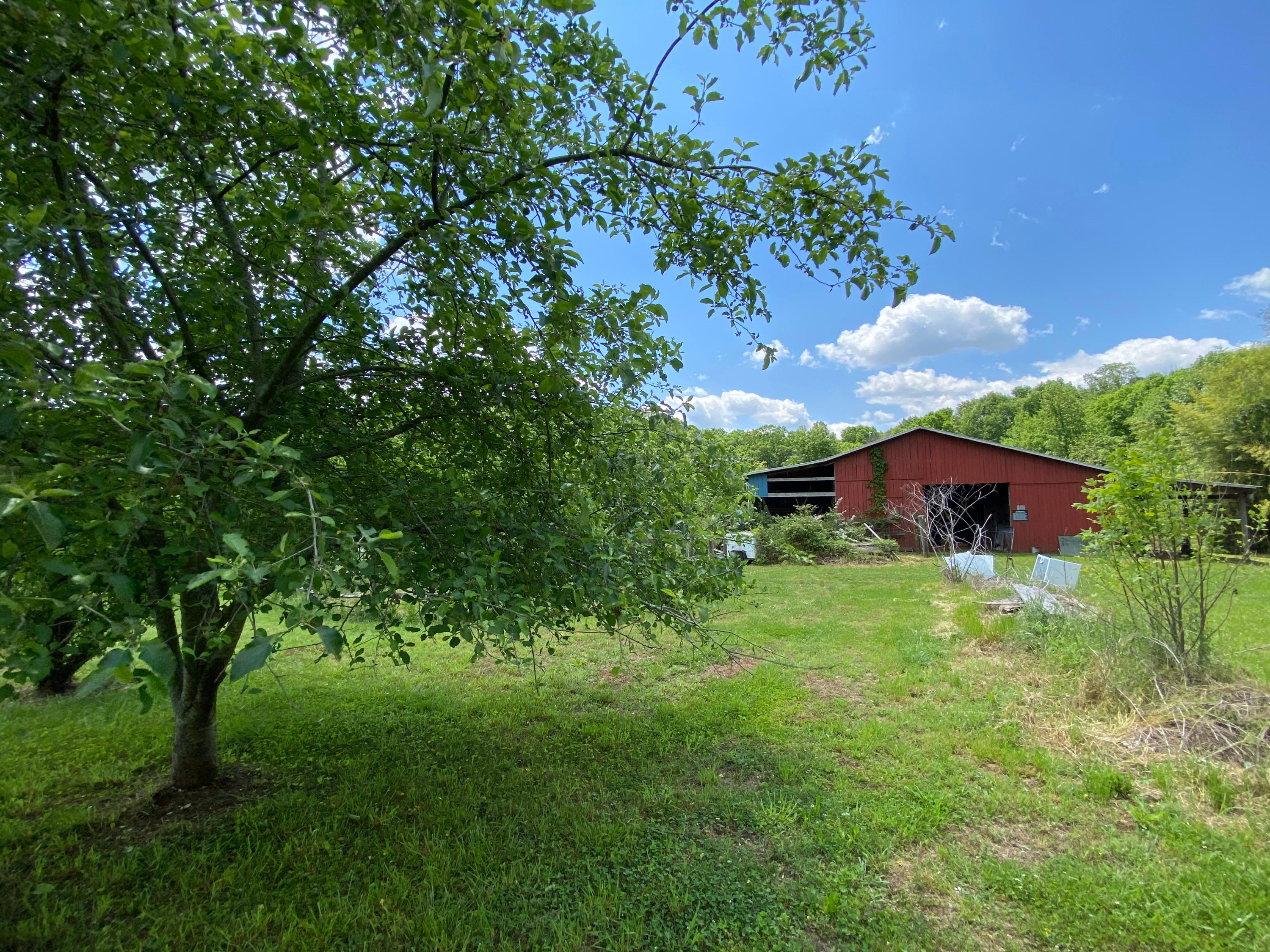 386 Harrison Road Madisonville, TN 37354 - Photo 14 of 32 8