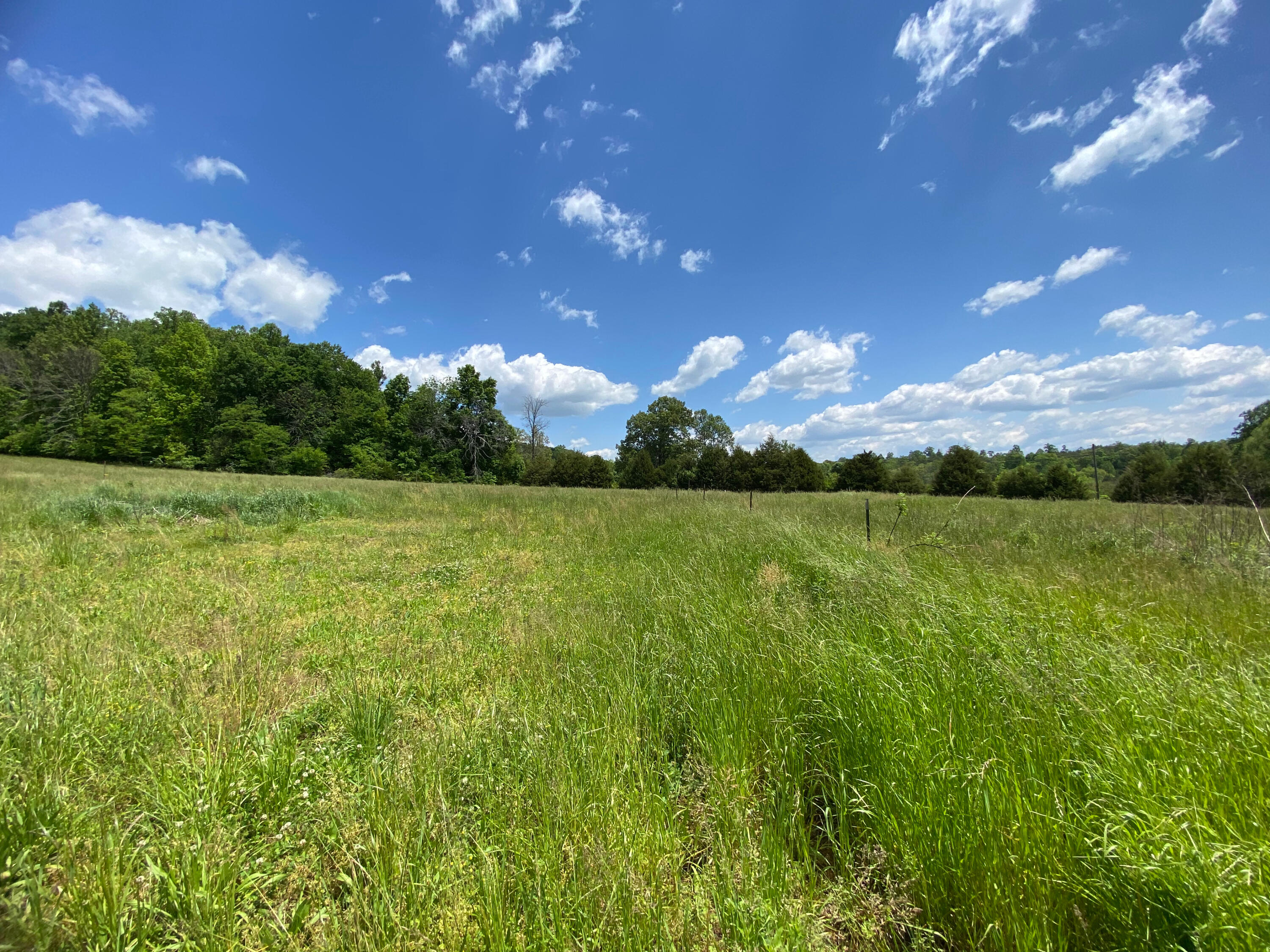386 Harrison Road Madisonville, TN 37354 - Photo 16 of 32 10