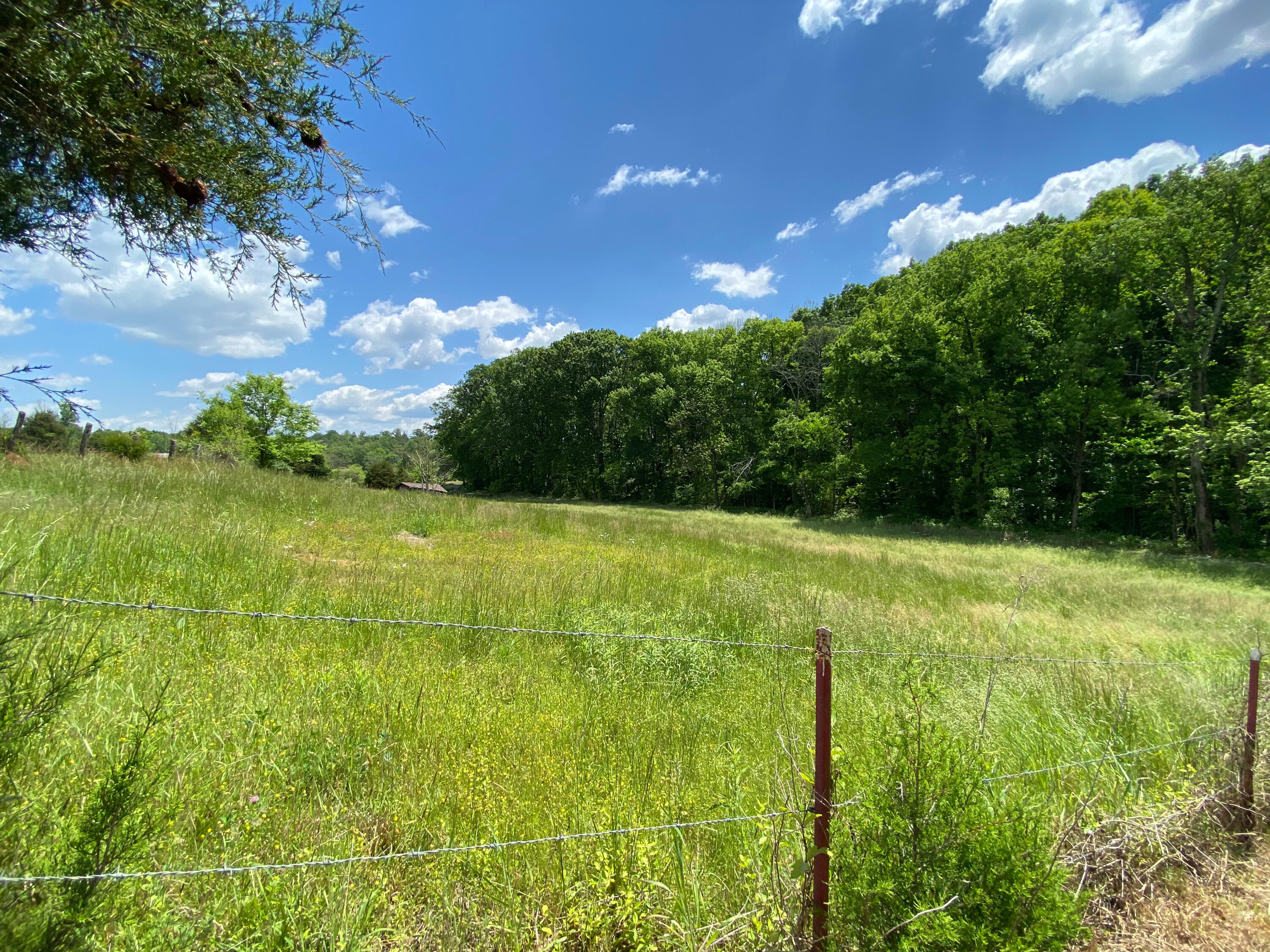 386 Harrison Road Madisonville, TN 37354 - Photo 17 of 32 11