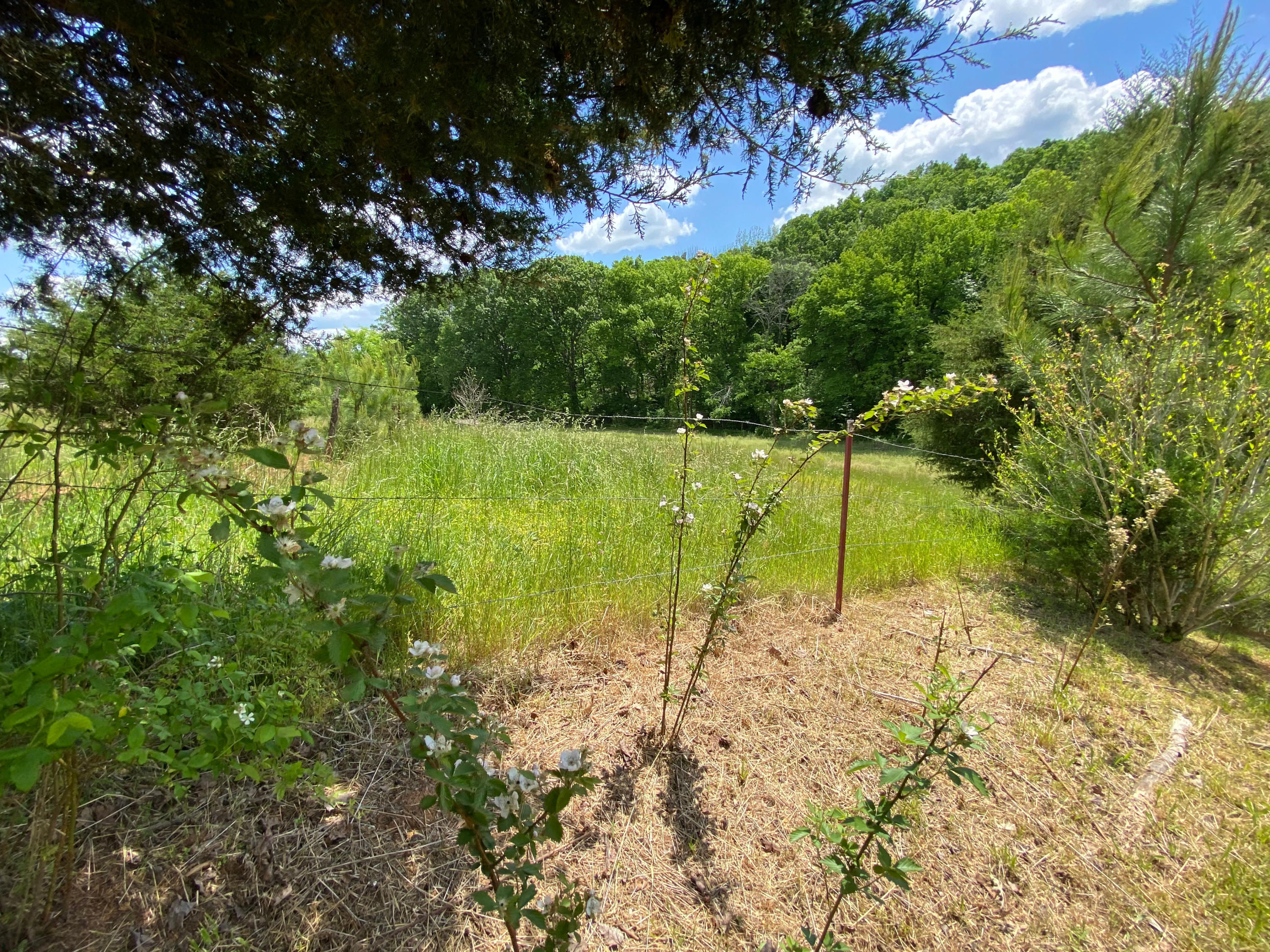 386 Harrison Road Madisonville, TN 37354 - Photo 29 of 32 26
