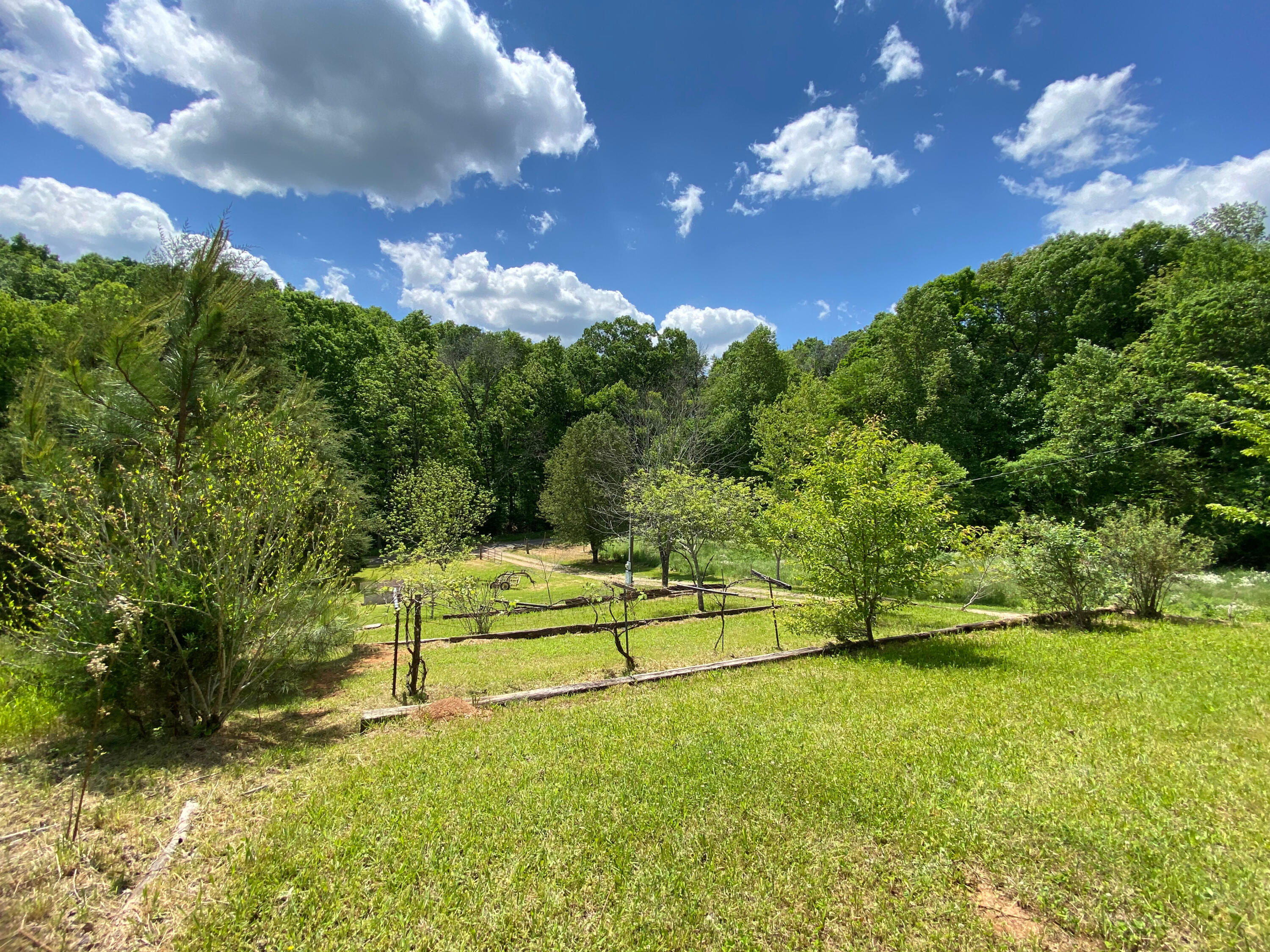 386 Harrison Road Madisonville, TN 37354 - Photo 30 of 32 27