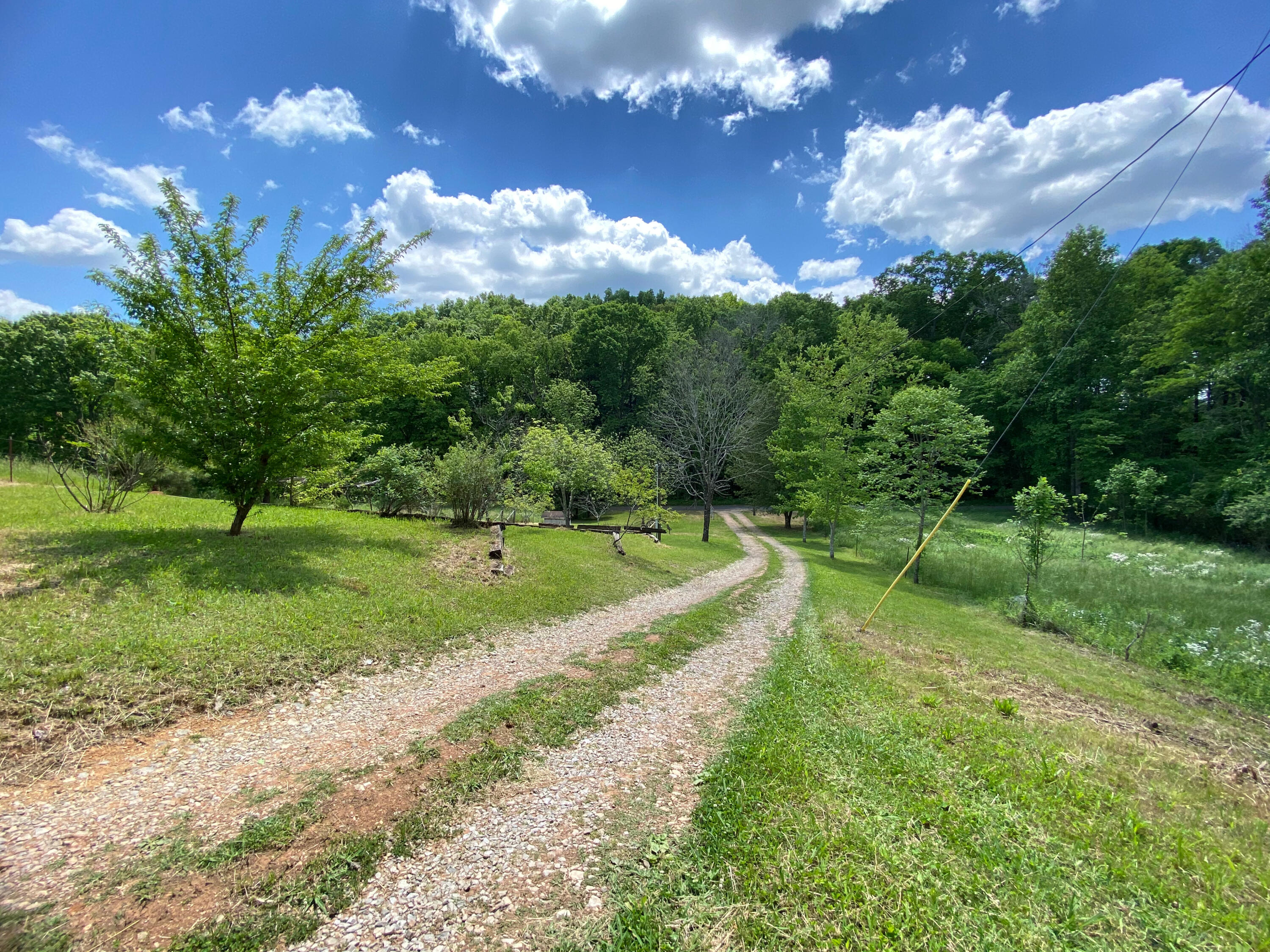 386 Harrison Road Madisonville, TN 37354 - Photo 31 of 32 28