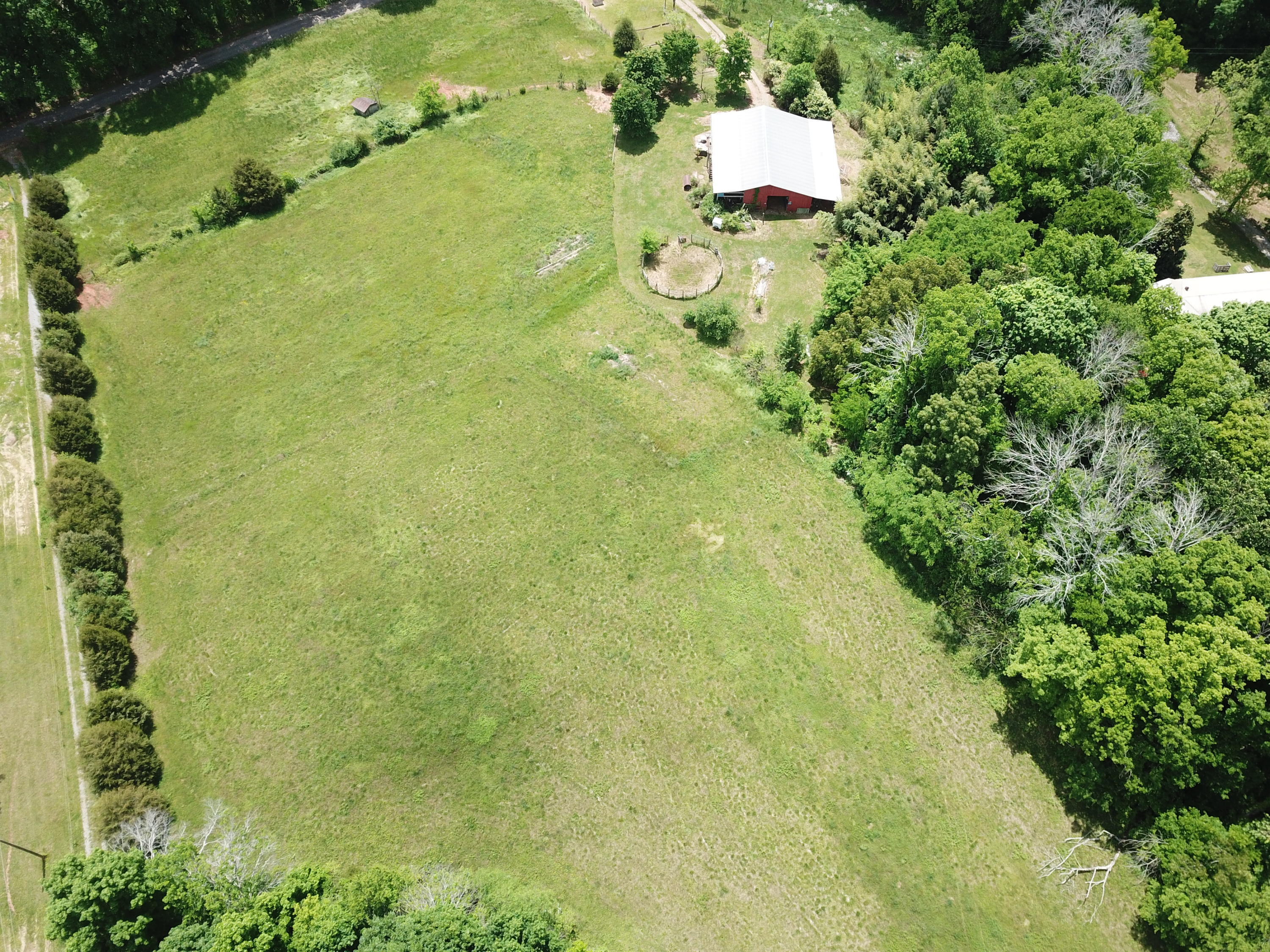 386 Harrison Road Madisonville, TN 37354 - Photo 6 of 32 1E