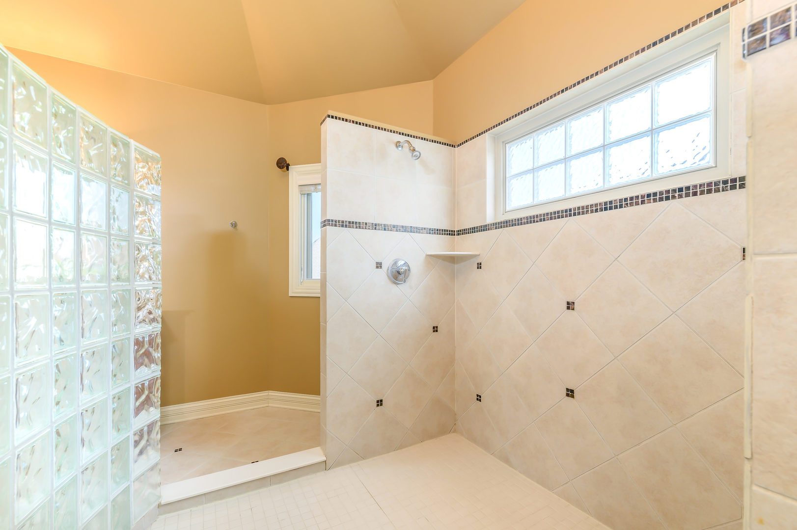 3416 Frankstowne Drive Naperville, IL 60565 - Photo 23 of 41 a bathroom with a shower