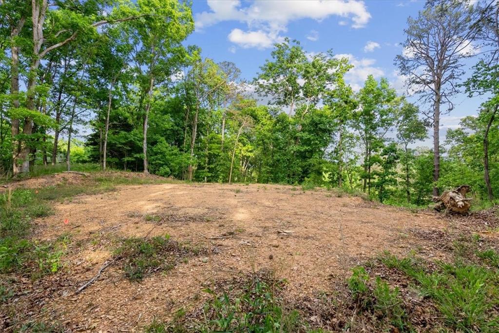 307 Moores Ferry Road Southwest Plainville, GA 30733 - Photo 4 of 14