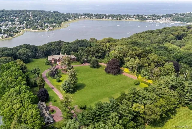 an aerial view of green landscape with trees houses and lake view